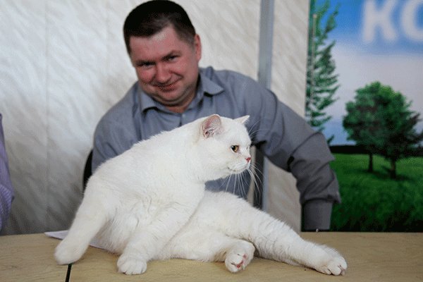 Лебедев Александр Львович